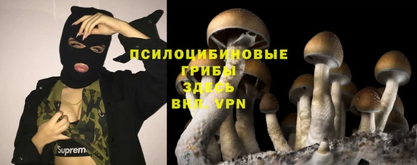 дурь Алзамай
