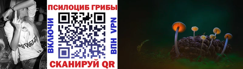 Псилоцибиновые грибы Magic Shrooms Куровское